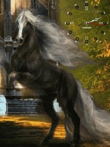 Animhorse