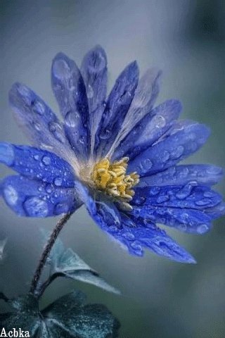 file_93771954