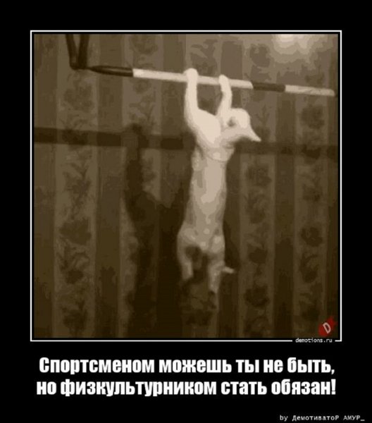 Спортсменом можешь ты не быть...