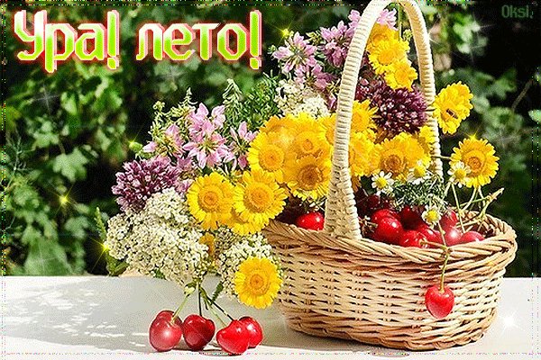 Анимированная открытка ура лето солнечный