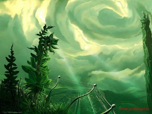 Fantasy 44