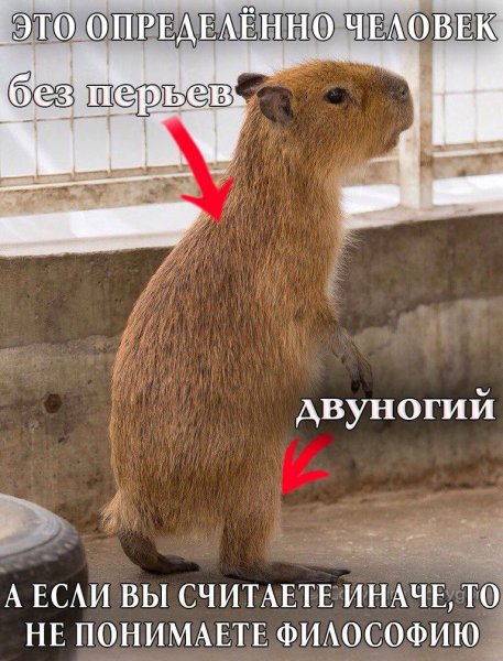 ЮМОР ПРИКОЛЫ СМЕХ (15)