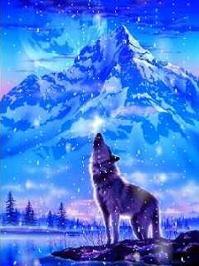 wolf 7zsw8po8