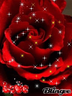 file_84860354