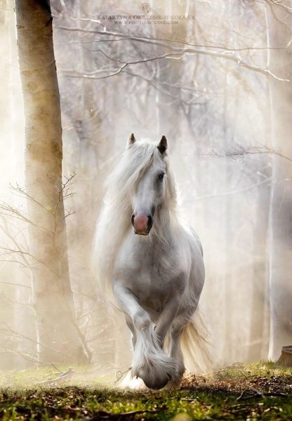 file_93731660