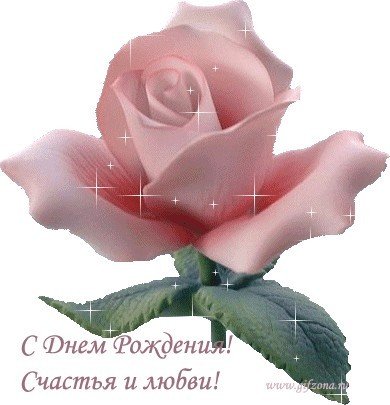 file_81228142
