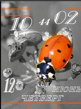 Коровка цифр часы дата