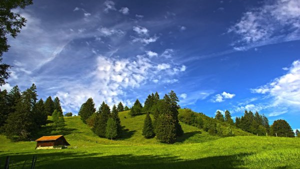 file_75866599