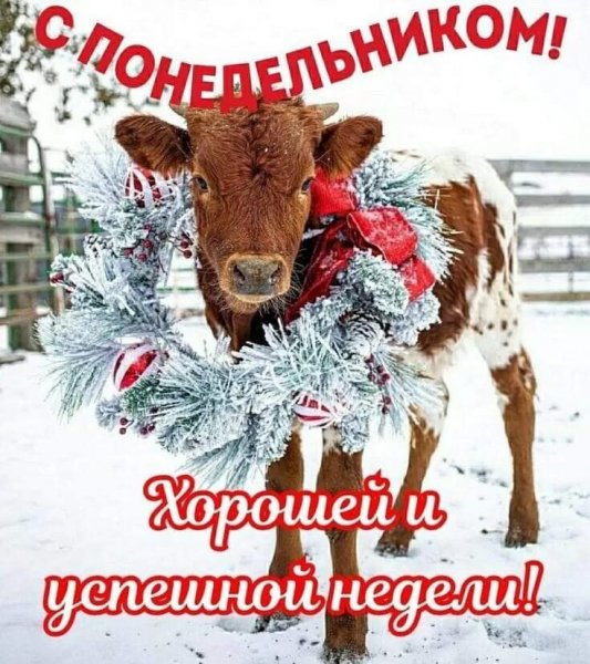 С понедельником