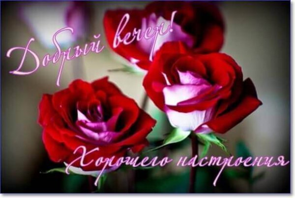 IMG 20181225 068172
