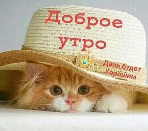 IMG 20200326 193901