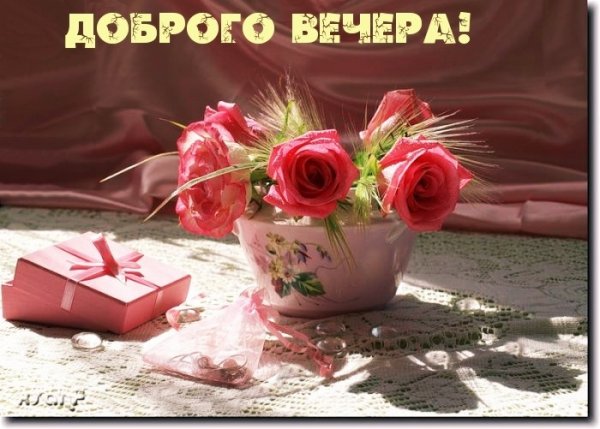 IMG 20181125 124703