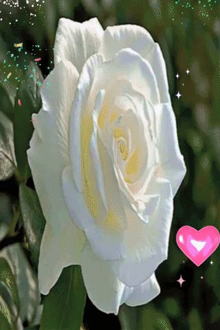 file_74272507
