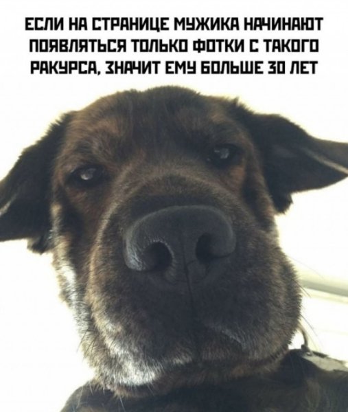 file_103229131