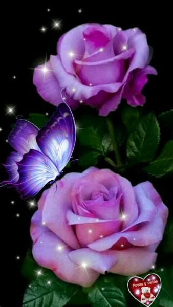 Çok Güzel Süper Güzellik Paylaştığınız Için Teşekkür