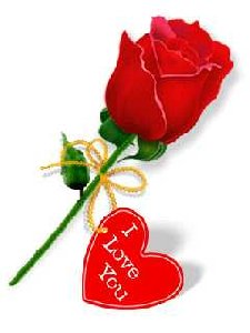 bflashlove fywocs4t