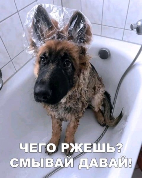 FB IMG 15545768076984819