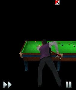 World Snooker Championship 2009 176x208