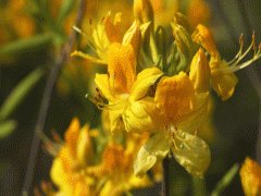 file_86355712