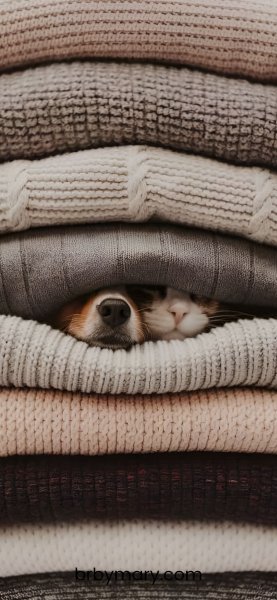 IMG 20251122 111433 920