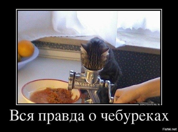 e1d2bb348174bb2663a148186bc733c4