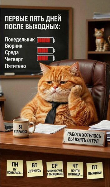 Пять дней рабочих