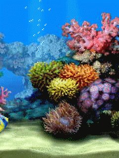 Aquarium
