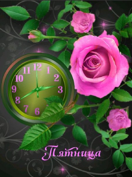 Роза