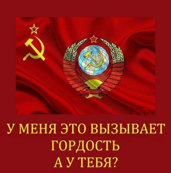 IMG 20231113 073346