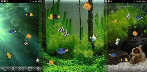 free-aquarium-live-wallpaper-