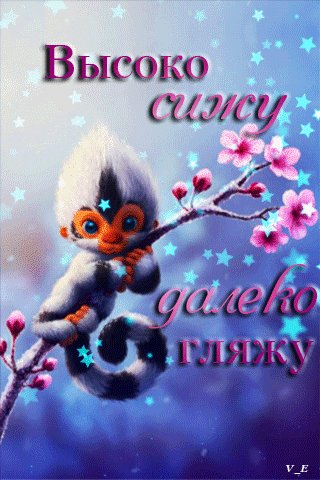 file_72843887