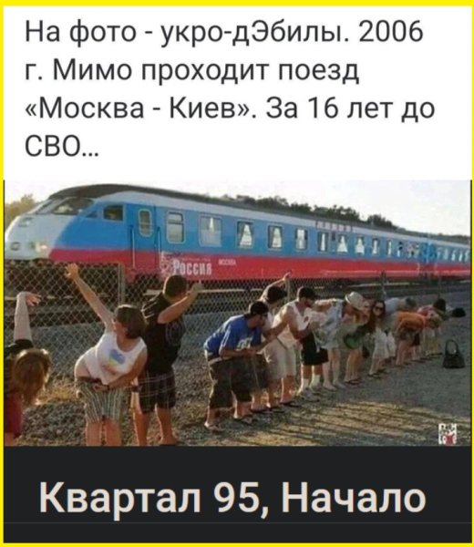 Дебилы