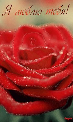 Я люблю тебя