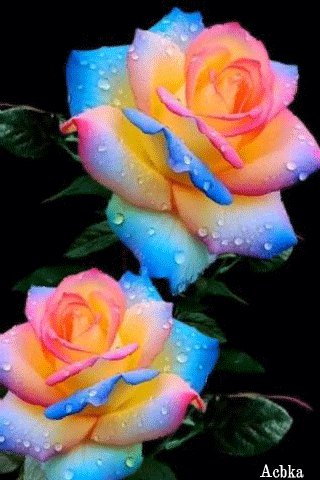 file_97036043