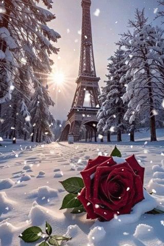 file_98815020