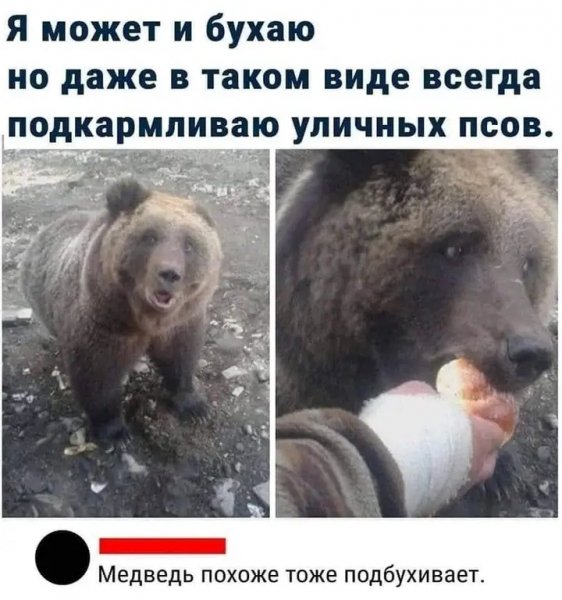 file_100668879