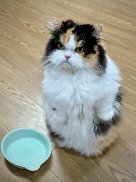 FB IMG 1753104481216