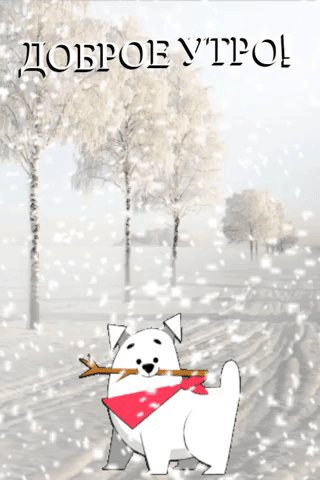 file_75876384