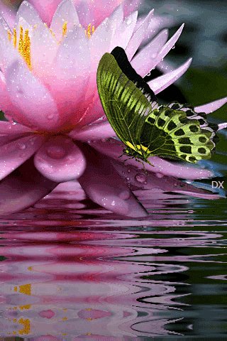 file_66319360