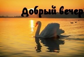 IMG 20181126 195329