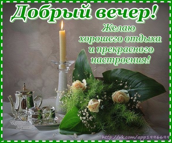 IMG 20190221 459846