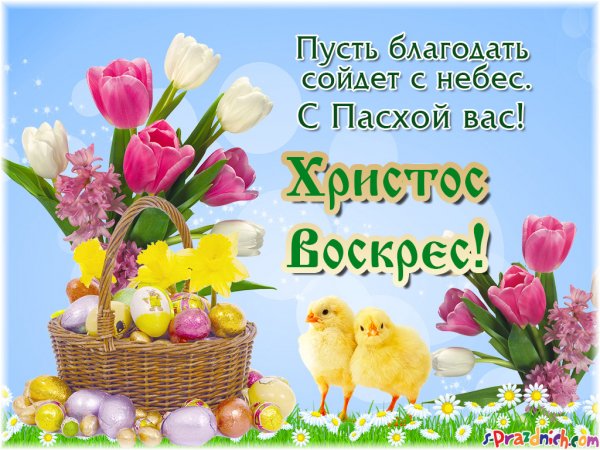 file_84185916
