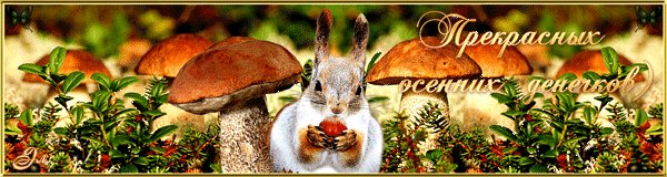 Прекрасных денёчков!