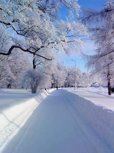 d36728358120b9c4ba7d64df6df1