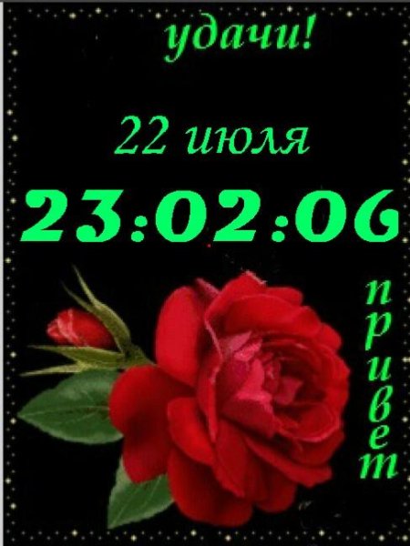Роза