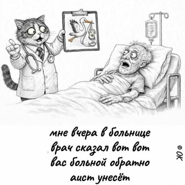 FB IMG 1777317826317