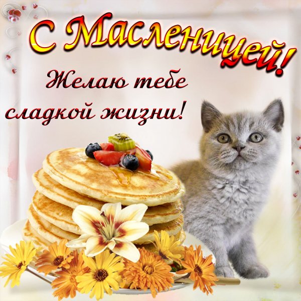 file_83955554