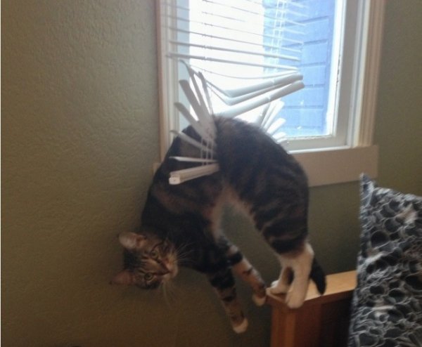 R3L8T8D-650-cathang-934x