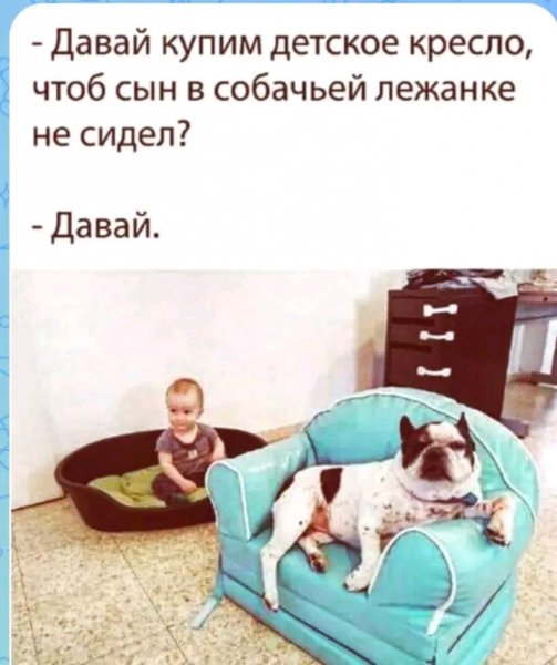 file_103258833