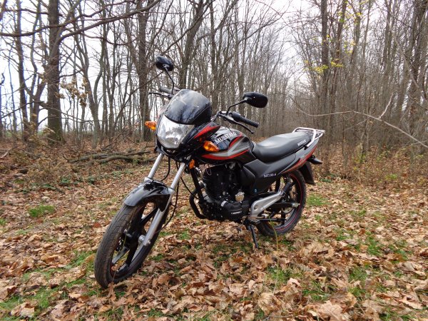 musstang mt-150 6-2013